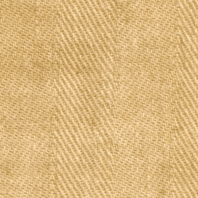 The Linen Fabric of the Shroud